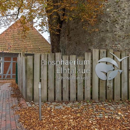 Landhaus Bleckede - App 1 Bleckede Exteriér fotografie