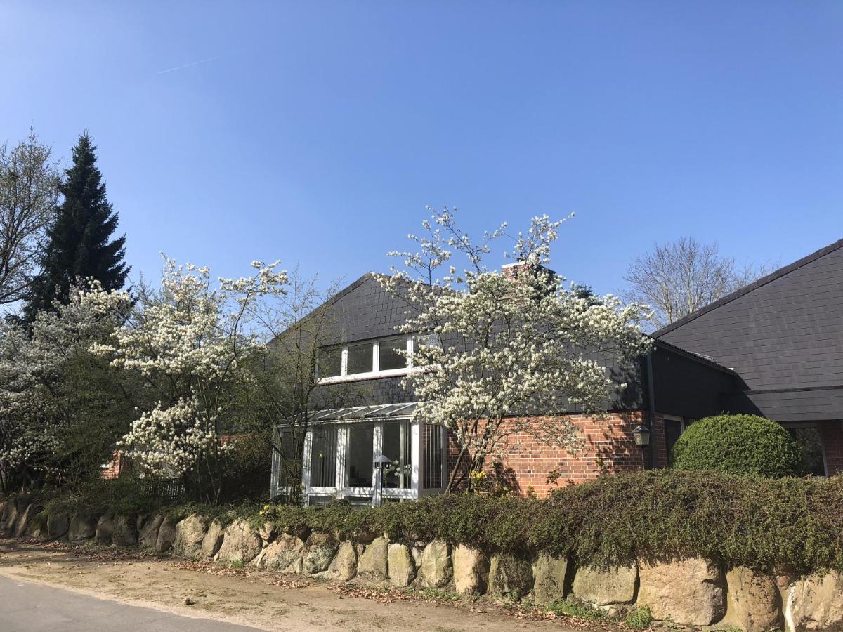 Landhaus Bleckede - App 1 Bleckede Exteriér fotografie